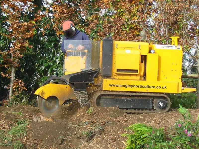 Various Tree Stump Removal Methods