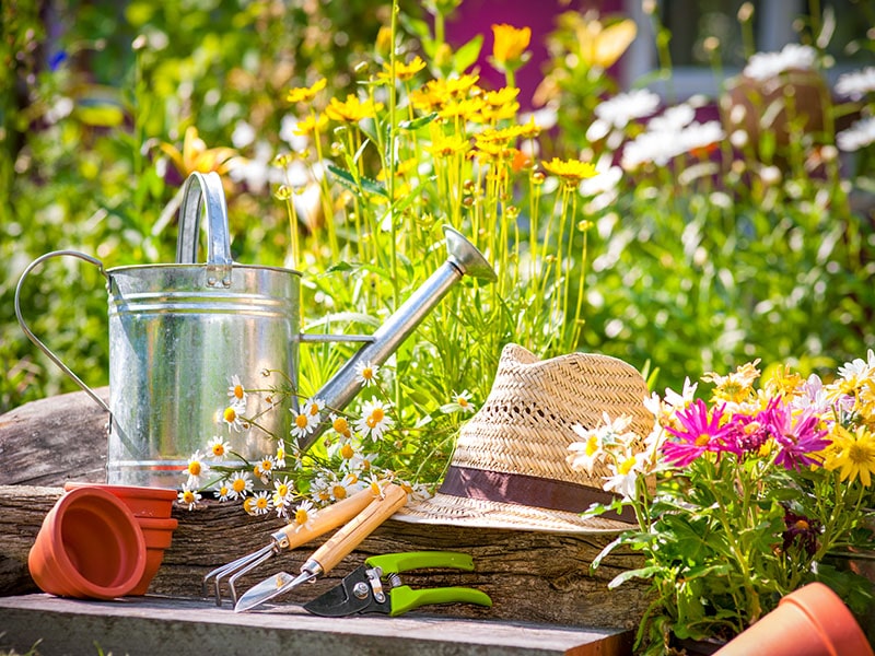 Lawn and Garden Tools Basics